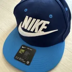 Item thumbnail for item ca6e3137-58e0-4a30-95b8-3f2d2abc59fb