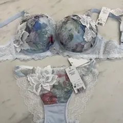 ワコール サルート【超激レア 入手困難♡30周年♡ライモンダ♡94G