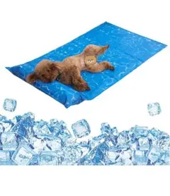 Item thumbnail for item 6c072aaa-ea1c-4a11-bb81-7313a8ab377e