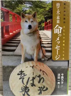 リンリン様 リクエスト 4点 まとめ商品