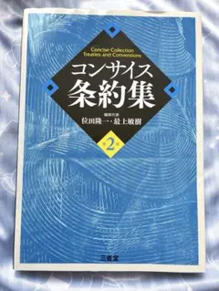 コンサイス条約集 第2版 三省堂 位田隆一 最上敏樹 - メルカリ