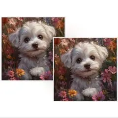 めい♡平日(月:火:金)発送様 リクエスト 2点 まとめ商品