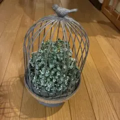 鳥のオブジェ付き 鳥かご型インテリア 置物のサムネイル