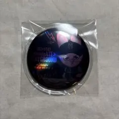 StrayKids チャンビン 缶バッジ エコパスタジアム