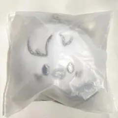 スキズ celebrATE ソウルコン フェイスキーリング フィリックス ポガリ