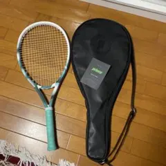 Item thumbnail for item 70068a02-7a6c-4ef9-821c-85961256dadb