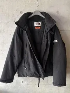 【人気】THE NORTH FACE ダウンジャケット　オンボールジャケットL
