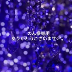 のん様専用✧︎*。