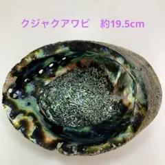 Item thumbnail for item fa099c8f-5ebd-4070-8d95-a313f20cd64f