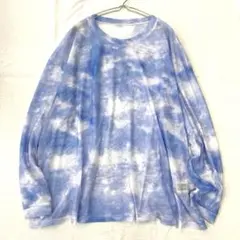 【PAYCLOSET】シアーカット ソークルーネック 透け感 長袖 F