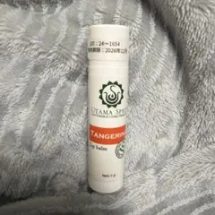 Item thumbnail for item 976287d9-0b44-4c5f-9066-114e449c60b9