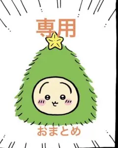 専用　おまとめ