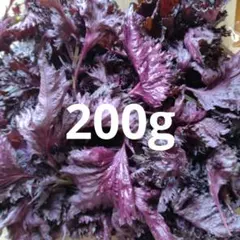 赤しそ　赤紫蘇　200g. 288のサムネイル