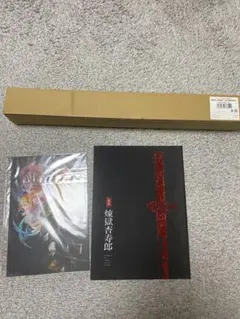 鬼滅の刃　無限列車編　鬼殺隊士活動記録　炎柱　煉獄杏寿郎　ポスター　数量限定版