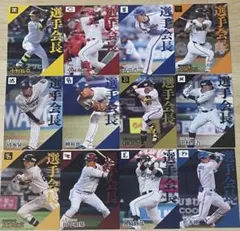 プロ野球チップス2024 第2弾 選手会長　コンプリートセット