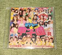 甲本ヒロト 真夏のストレート 天国うまれ 7インチ激レア盤！ - メルカリ
