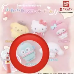 ふわふわフロッキードール ハンギョドン ガチャ サンリオ マスコット