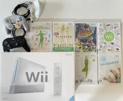 Nintendo Wii RVL-S-WD