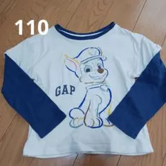 パウパトロール 100