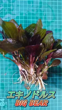 Nunotango様 リクエスト 2点 まとめ商品