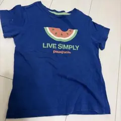 Patagonia LIVE SIMPLY Tシャツのサムネイル