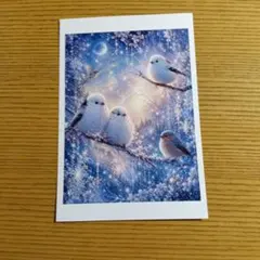 シマエナガ ポストカード 幻想的な雪景色