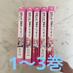 総長さま、溺愛中につき。1〜3巻