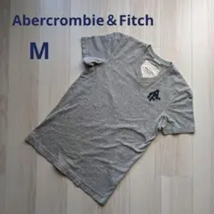 Abercrombie & Fitch グレー Vネック Tシャツ