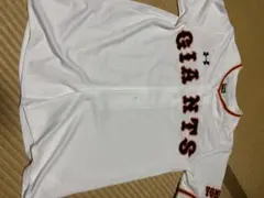 Item thumbnail for item 957ff621-ed0d-4844-8a74-38f87be724dc