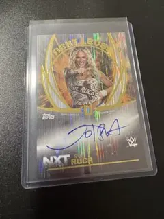 Item thumbnail for item 08253e5e-0e3c-42bd-8e5f-9a423d673f20