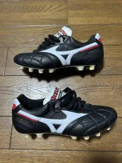 モレリア2 japan クロスステッチ 24.5