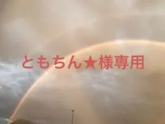 ともちん★様専用ページ