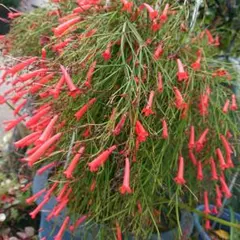 nkent34様 リクエスト 3点 まとめ商品