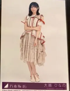 乃木坂46 大越ひなの　ビリヤニ封入生写真　ヒキ