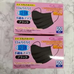 立体不織布マスク ブラック 50枚入り　2個セット