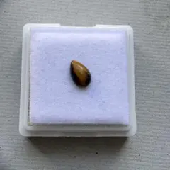 yana様 リクエスト 2点 まとめ商品