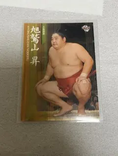 Item thumbnail for item 856c4693-c256-451d-95bb-3ea1e5f59c68