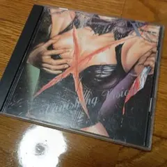 美品☆X Vanishing vision