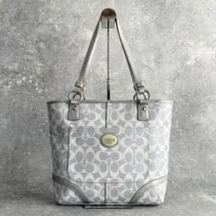 y2k Coach Signature Tote Bag Blue silver
