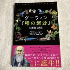 Item thumbnail for item eeca05fa-95ee-4752-ac7d-d8565e4a50a5