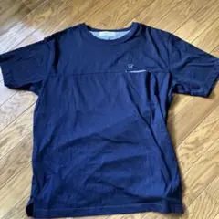 Golden bear Tシャツ