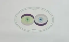 足立育朗 エノレコン（ENORECON）美品 波動・意識サポート ビニール袋入り