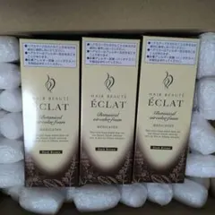 ヘアボーテ エクラ ボタニカル エアカラーフォーム EX ダークブラウンのサムネイル