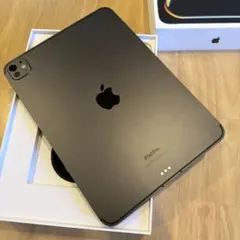 iPad Pro m4 11インチ セルラーモデル 256GB 美品