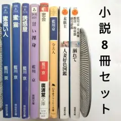 小説 文学・小説