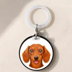 ミニチュアダックス レッド ペットボトルマーカー 犬チャーム ハンドメイド