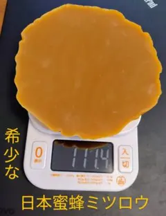 Item thumbnail for item 9979b6ed-65dc-4a5a-b2c0-2b0dca3dfe68