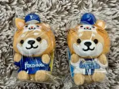 嵐 なまあらし LIVE STORM 番組台本 美品 レア 非売品 2003年 - メルカリ