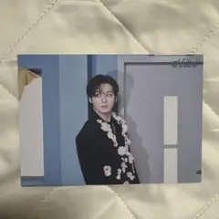 straykids リノ hollow ラントレ