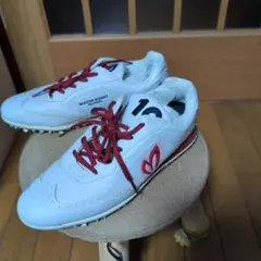 Item thumbnail for item 0df78aea-50d5-43d3-a697-741d54bcac3d